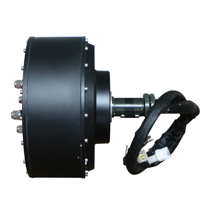 E-car hub motor