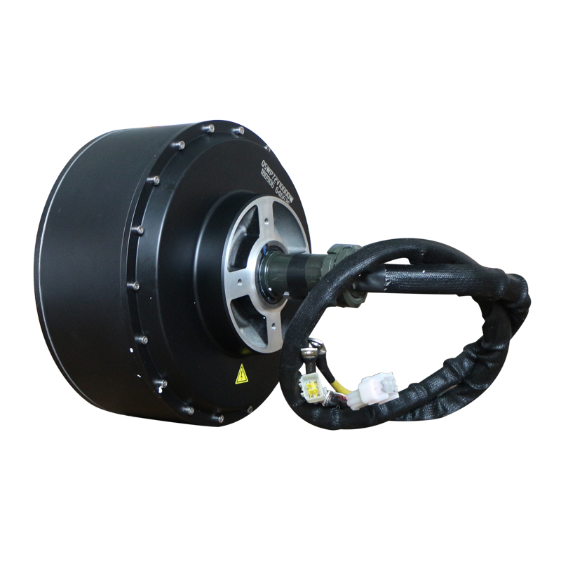 E-car hub motor