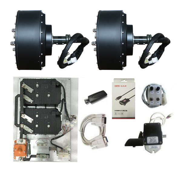 E-car Hub Motor